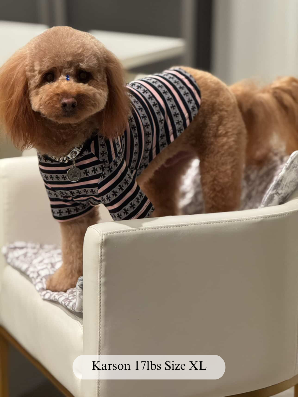 Paws of Hearts High-Neck Top