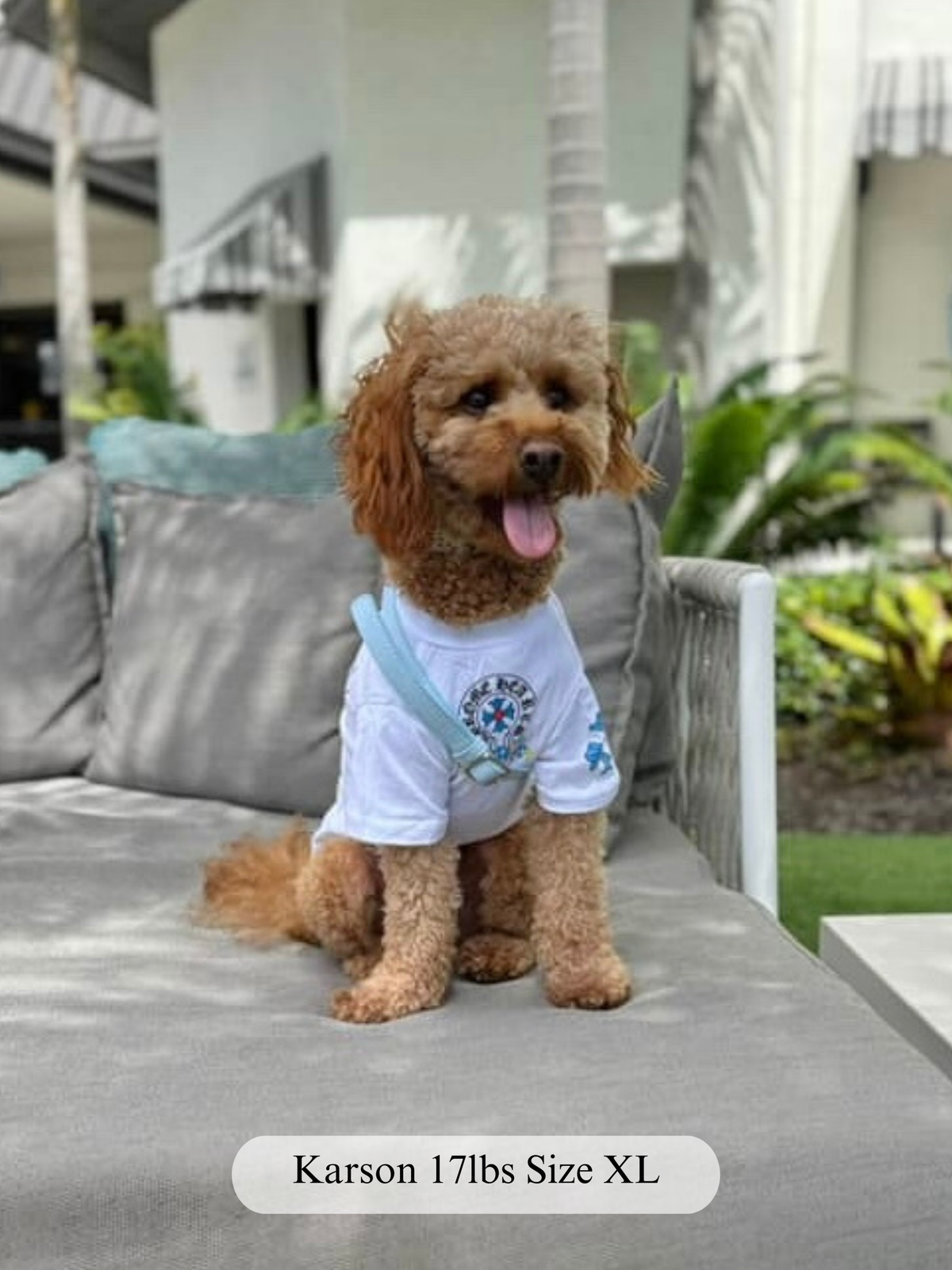 Paws of Hearts Tee