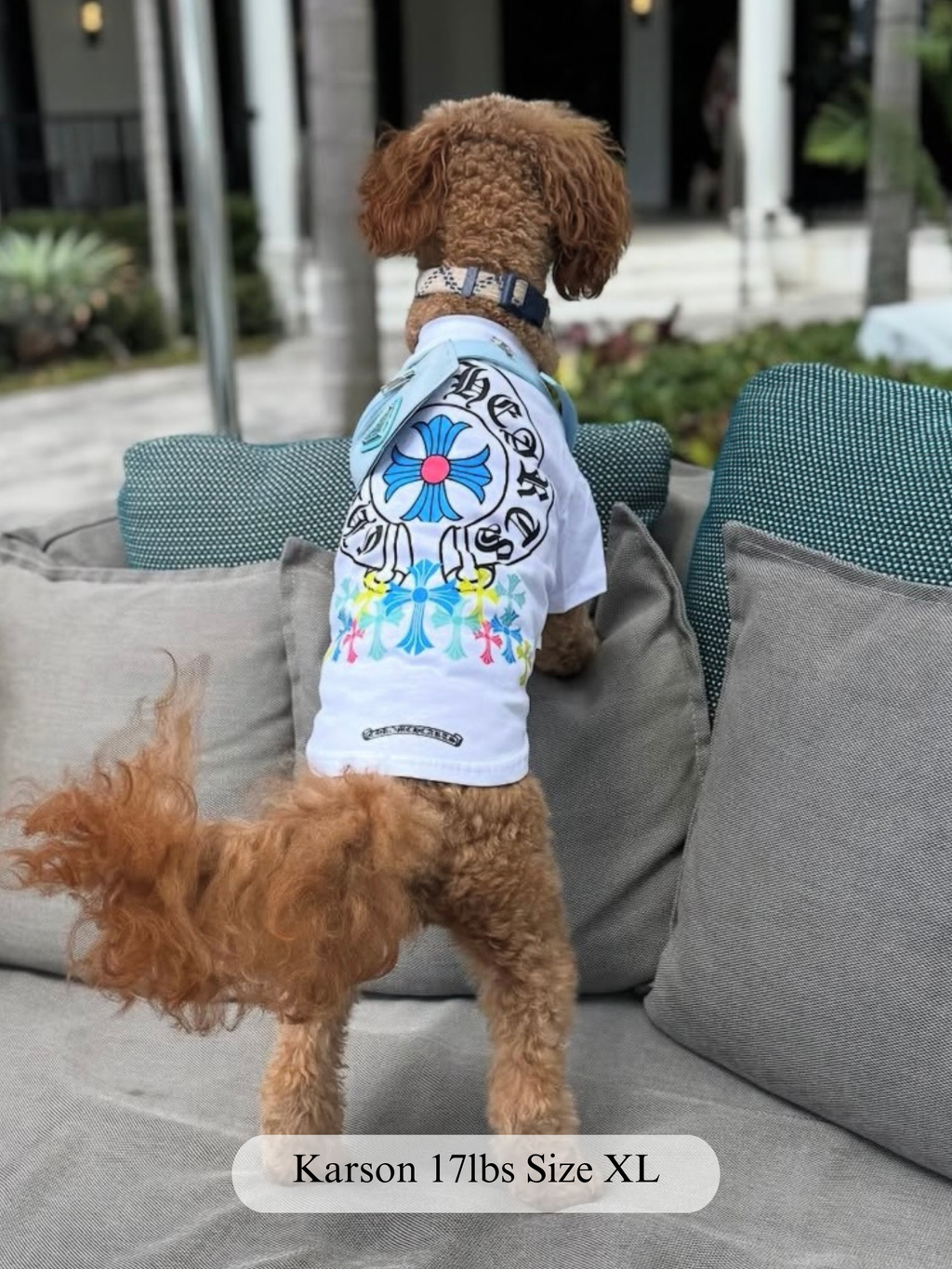 Paws of Hearts Tee