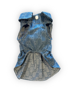 Sweetheart Buckle Dress  Denim Dog Dress with Pearl Details
