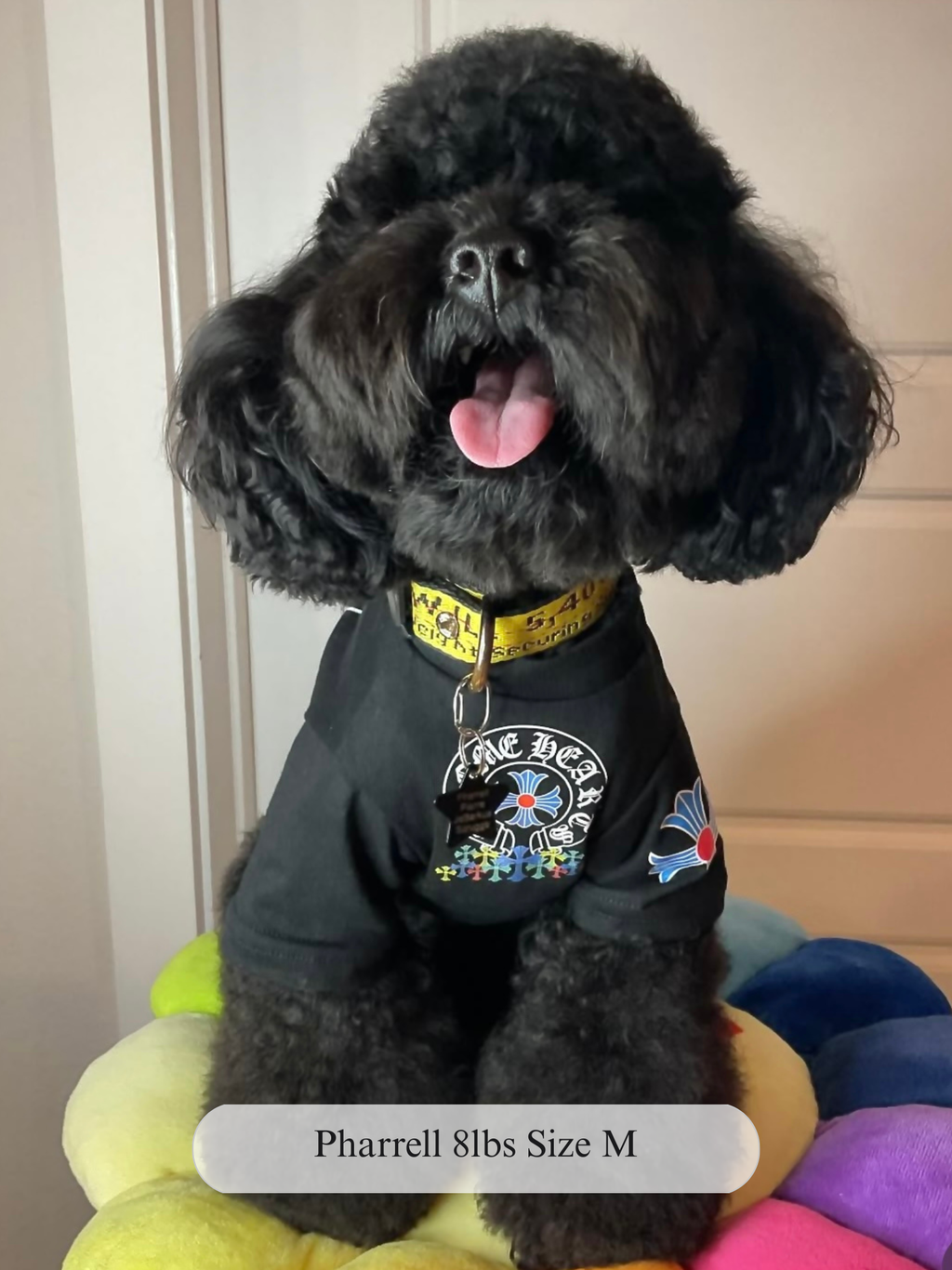 Paws of Hearts Tee