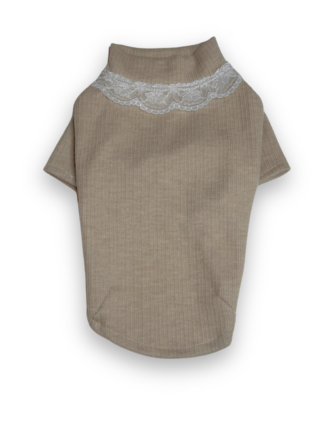 Charming Lace High Neck Top