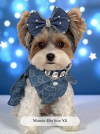 Sweetheart Buckle Dress  Denim Dog Dress with Pearl Details