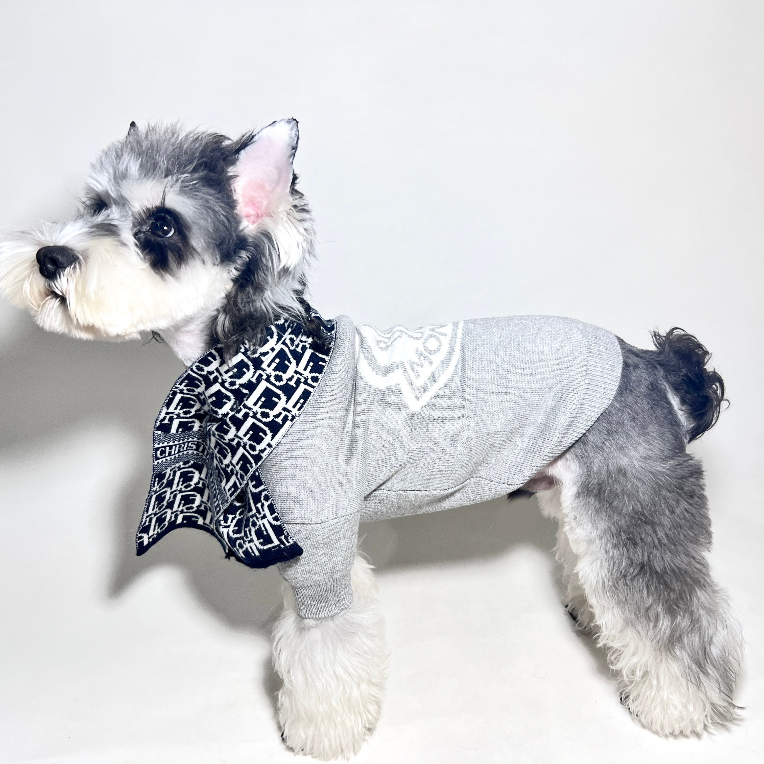 Gray Sweater 068