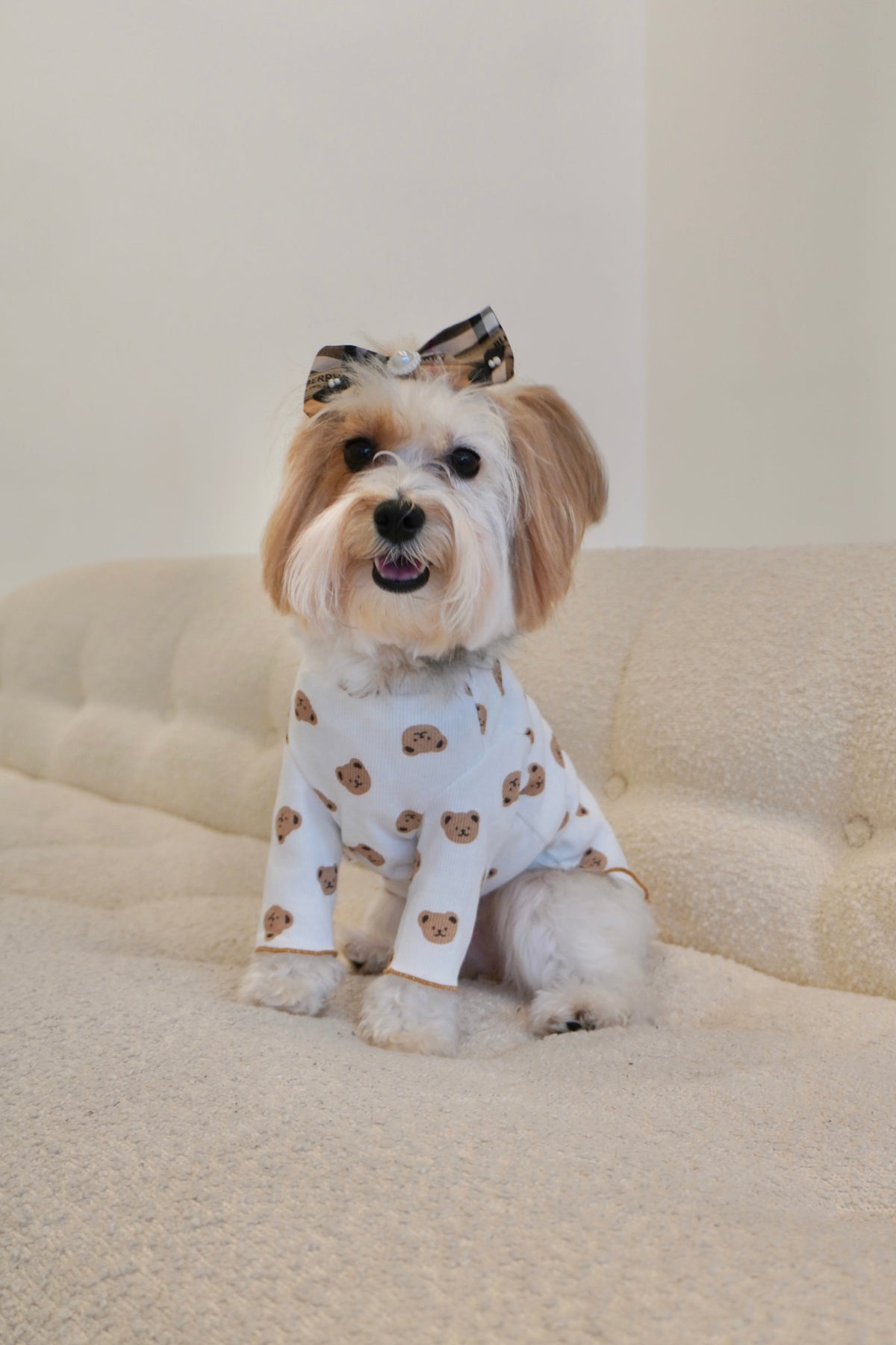 Bear-y Chic Top