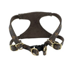 L presbyopic leather dog harness