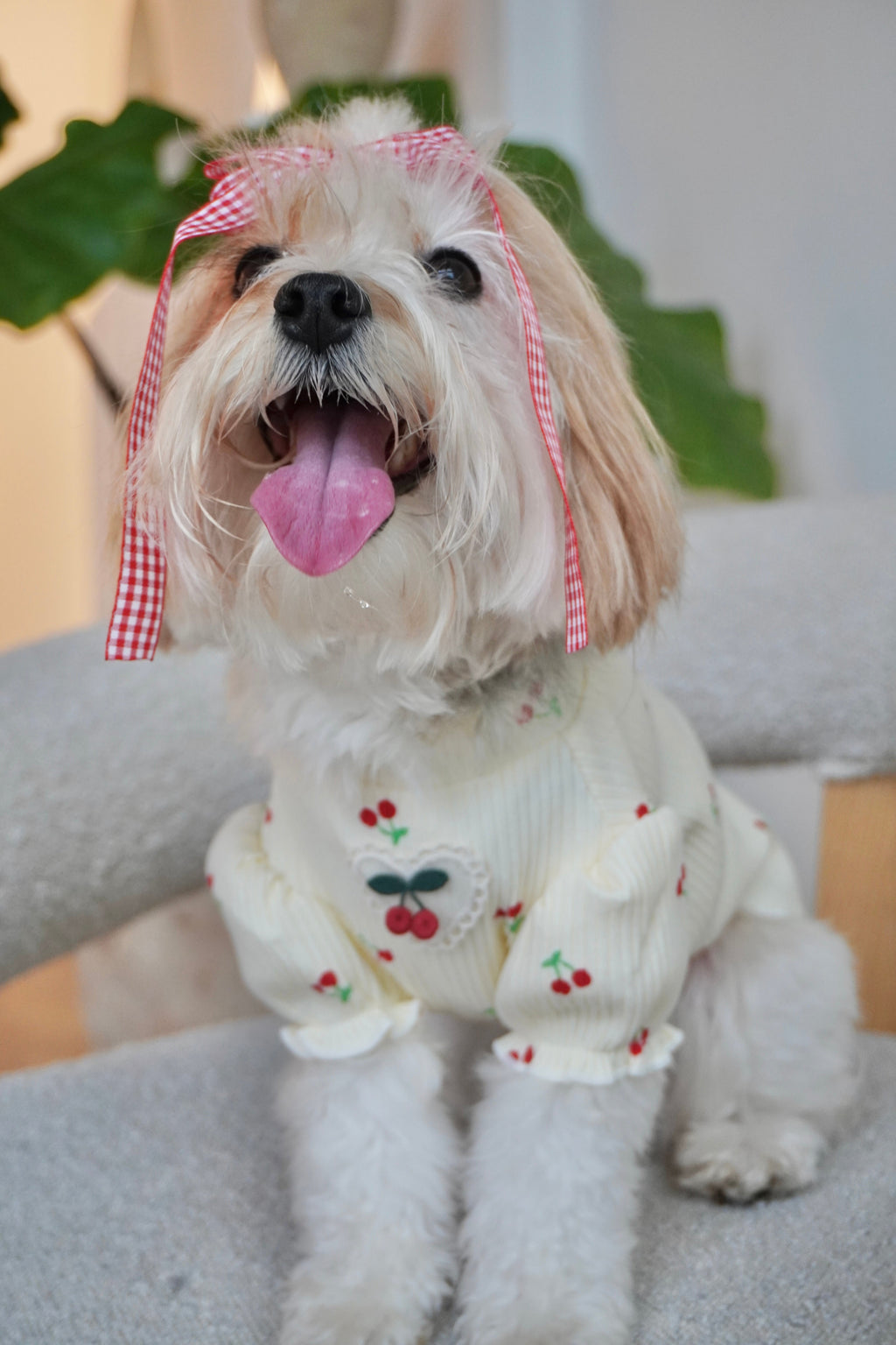 Puff Sleeve Cherry Delight Top