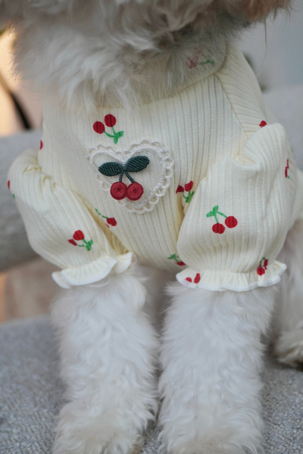 Puff Sleeve Cherry Delight Top