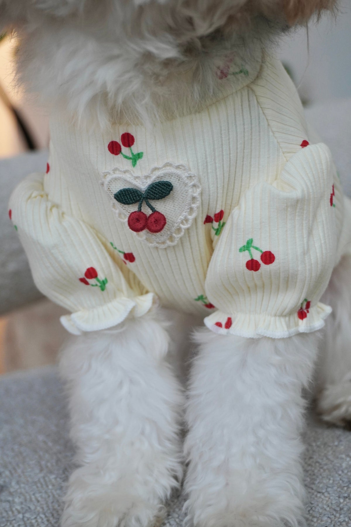 Puff Sleeve Cherry Delight Top