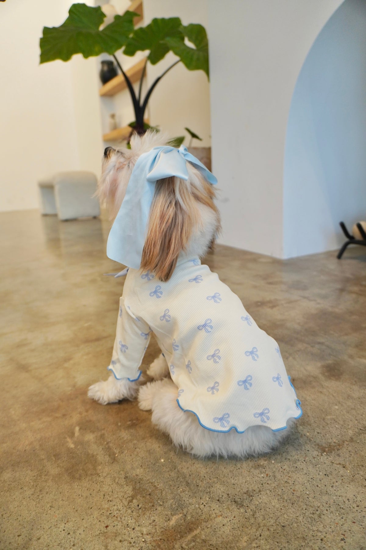 Coquette Ruffle Dog Top