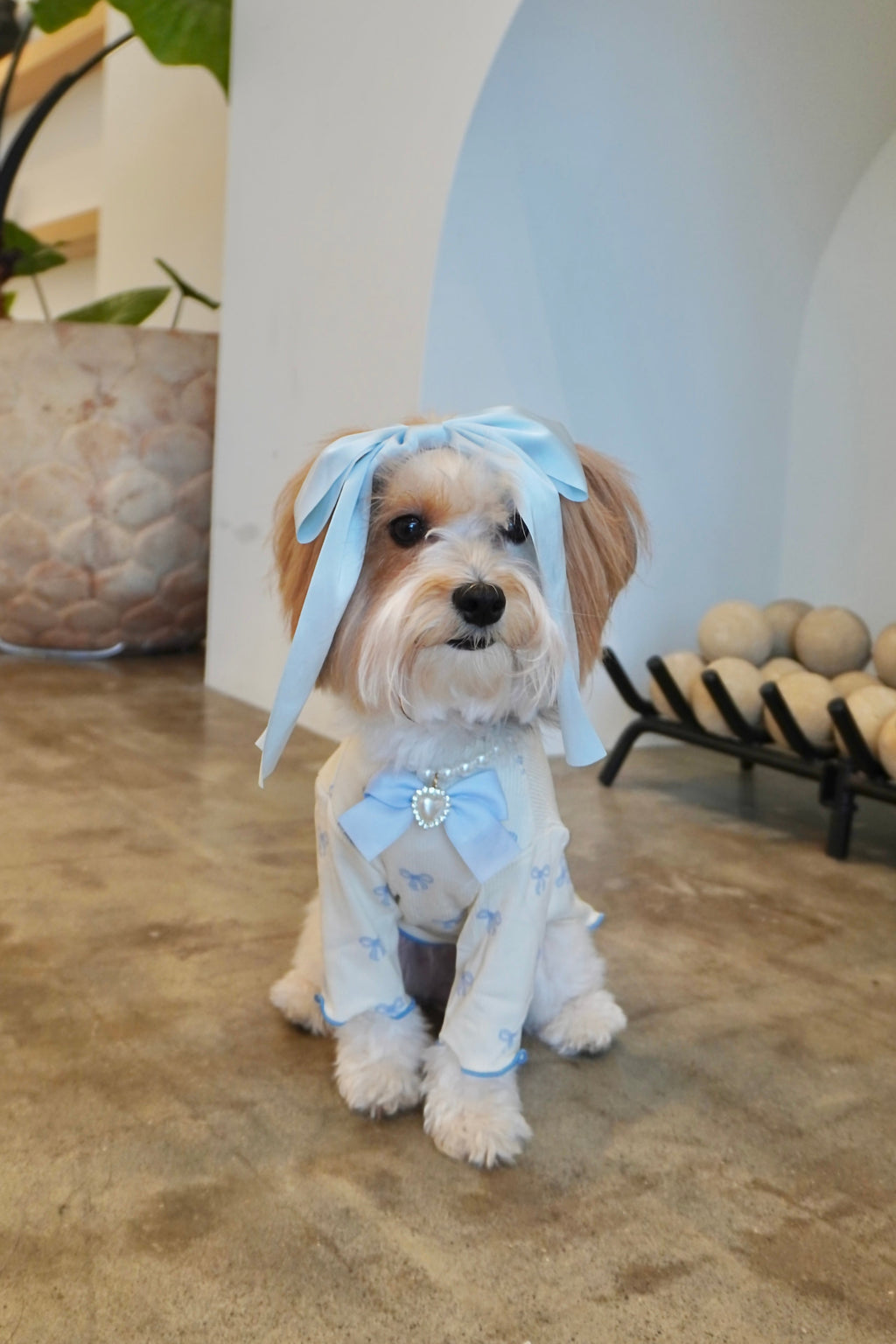 Coquette Ruffle Dog Top