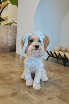 Coquette Ruffle Dog Top