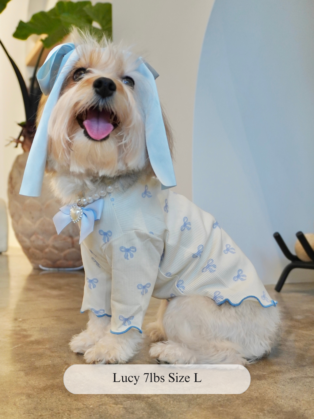 Coquette Ruffle Dog Top