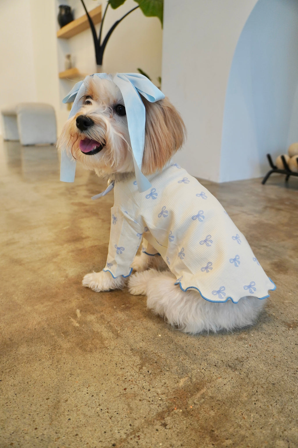 Coquette Ruffle Dog Top