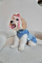 Stretchy Denim Dog Dress with Ruffled Skirt
