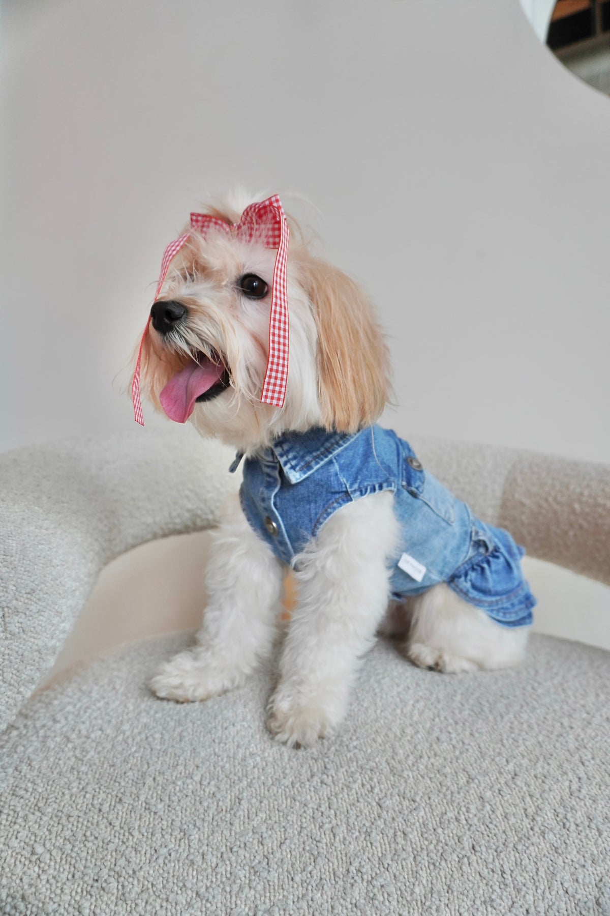 Stretchy Denim Dog Dress with Ruffled Skirt