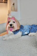 Stretchy Denim Dog Dress with Ruffled Skirt