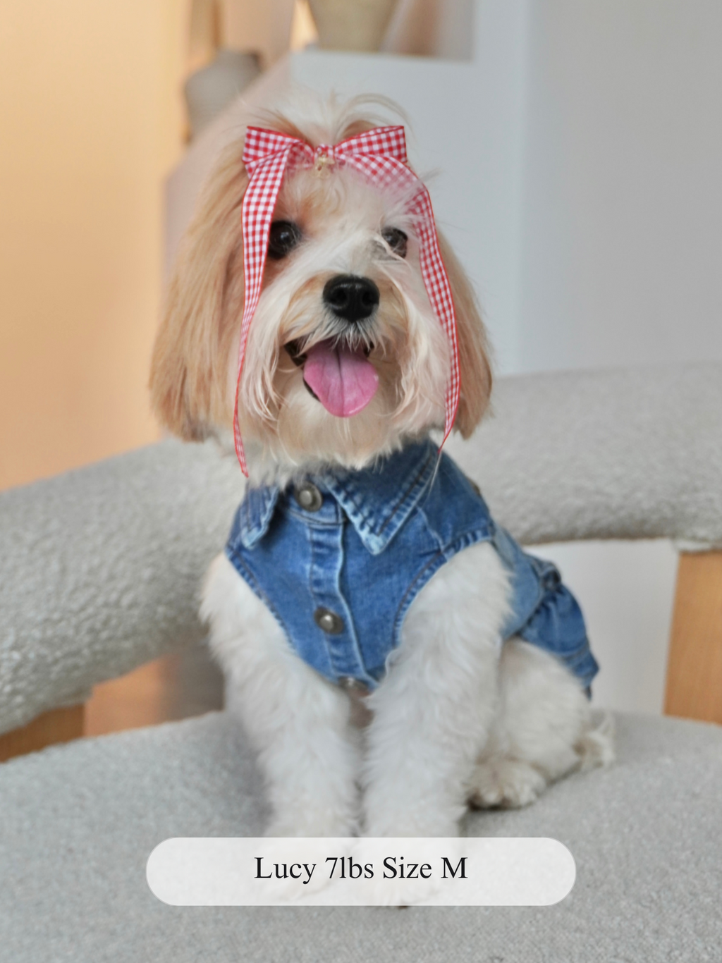 Stretchy Denim Dog Dress with Ruffled Skirt