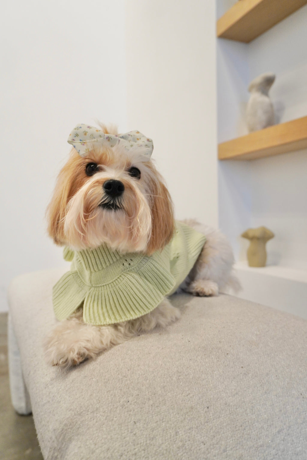 Lux Knit Ruffle Sweater